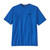 P-6 Outline: Vessel Blue|Tracé P-6 : Vaisseau bleu|ALT