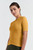 Marigold|Calendula|ALT
