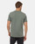 Agave Green|Vert agave|ALT