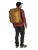 Brindle Brown|Brun bringé|ALT
