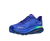Dazzling Blue/Evening Sky|Bleu éblouissant/Ciel du|ALT