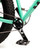 Teal|Sarcelle|ALT