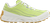 Lichen|Lichen|PRI