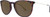 Glossy Tortoise Shell/Amb|Glossy Tortoise Shell/Amb|PRI