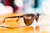 Tortoise Shell/Amber|Écaille de tortue/Ambre|ALT