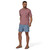 Light Plume Grey|Gris plumet clair|ALT