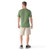 Fern Green|Vert fougère|ALT