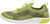 Iguana/Evening Primrose|Iguana/Evening Primrose