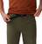 Dark Pine|Dark Pine|ALT