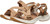 Chipmunk/Birch|Tamia/bouleau|ALT