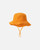 Fruity Orange|Fruity Orange