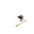 Orange|Orange|ALT
