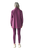 Elderberry|Sureau|ALT