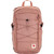 Dusty Rose|Rose poussiéreuse|PRI