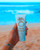 NO_COLOUR|NO_COLOUR|ALT