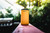 Citrus|Agrume|ALT