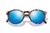 Dipsea Tortoise Aqua|Beu-vert tortoise Dipsea|ALT
