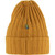 Acorn|Gland