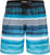 Blue Stripe|Rayures bleues|PRI