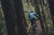 Dark Night Forest Creatur|Nuit foncé créatures de f|ALT
