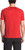 Pompeian Red|Pompeian Red