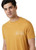 Sweet Birch Yellow|Bouleau jaune sucré