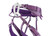 Violet|Violet|ALT