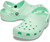 Neo Mint|Menthe néo|ALT