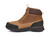 Chestnut|Châtaignier