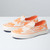 Island Floral Autumn Suns||ALT