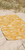 Wonderland Quick Dry/Burn|Séchage rapide au pays de|ALT