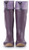 Plum|Prune