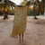 Lazy Daisy Gold|Marguerite paresseux doré|ALT