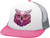 Owl|Hibou|PRI