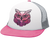 Owl|Hibou|PRI