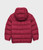 Raspberry|Framboise|ALT