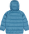Cirque Blue|Bleu Cirque|ALT