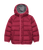 Raspberry|Framboise|PRI