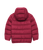 Raspberry|Framboise|ALT