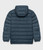 Norse Blue|Bleu scandinave|ALT
