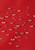 Tomato Red|Rouge tomate