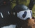 Panda|Panda|ALT