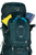 Night Jungle Blue|Night Jungle Blue|ALT