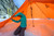 Orange|Orange|ALT