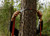 Ember Orange/Granite Grey|Ember Orange/Granite Grey|ALT