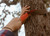 Ember Orange/Granite Grey|Ember Orange/Granite Grey|ALT