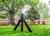 NO_COLOUR|NO_COLOUR|ALT