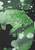 Cactus Green|Vert cactus|ALT