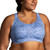 Blue Lavender Terrain Pri|Blue Lavender Terrain Pri|PRI