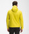 Acid Yellow|Acid Yellow|ALT